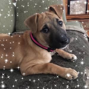 Meet your Posher, Jane